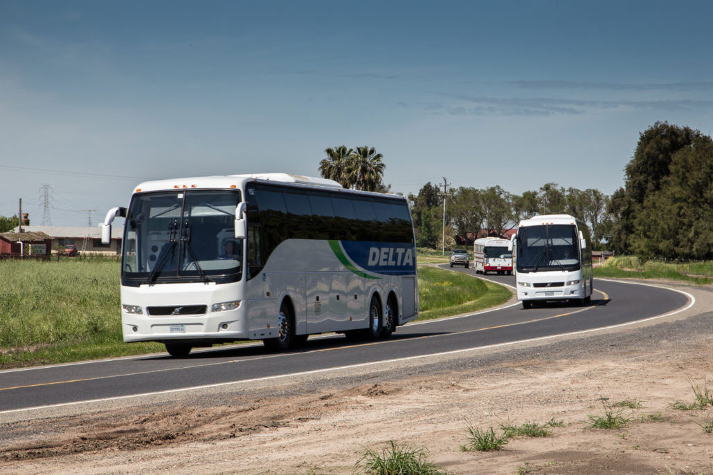 buses on road