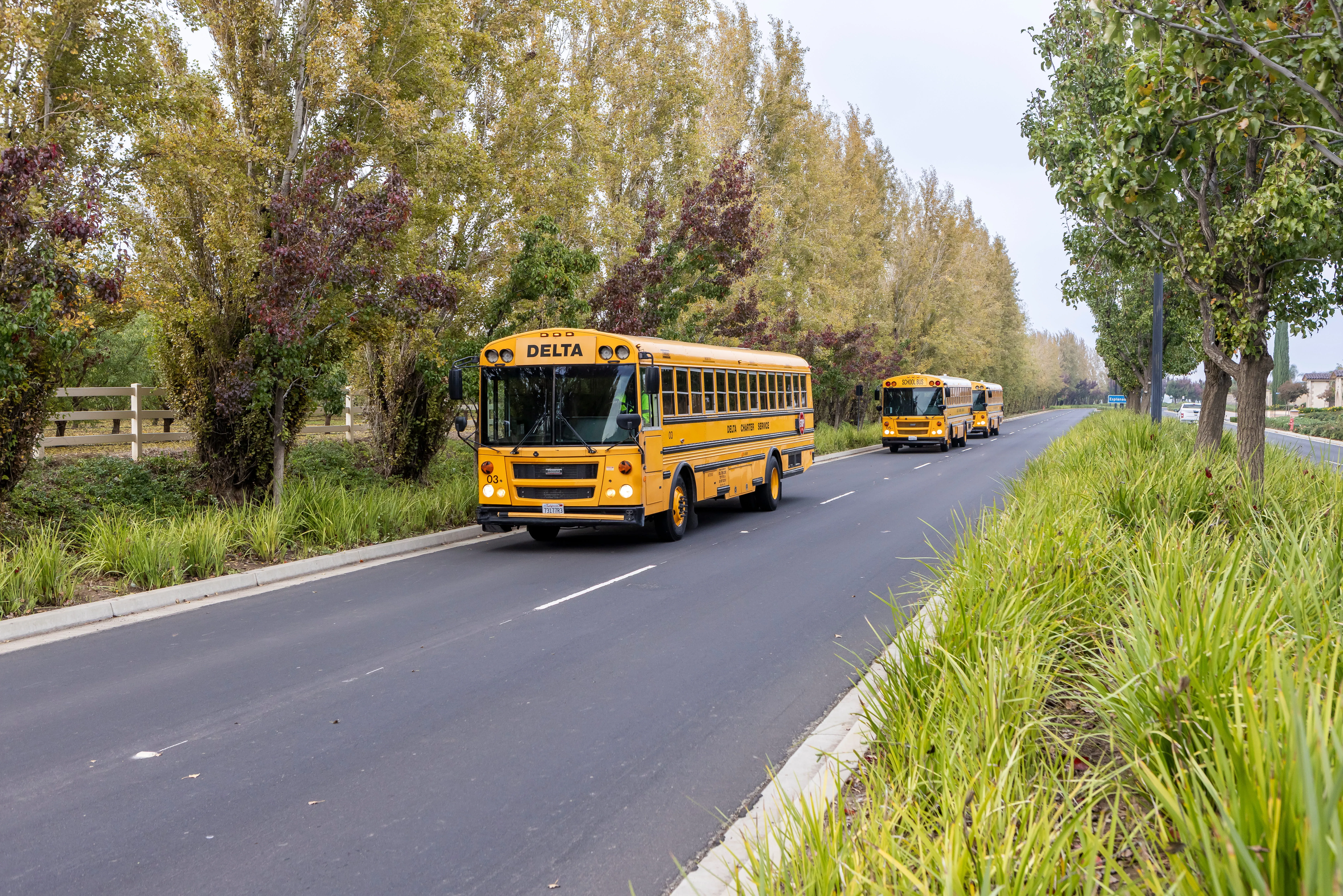 School Landing Page 4