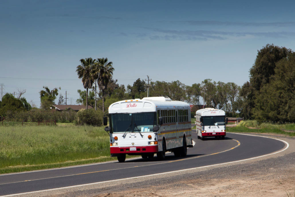 School bus driving on road